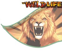 /album/the-wild-life/the-wild-life-jpg/